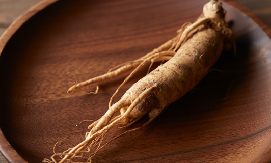 Ginseng 
