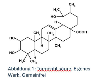 Formel Blutwurz