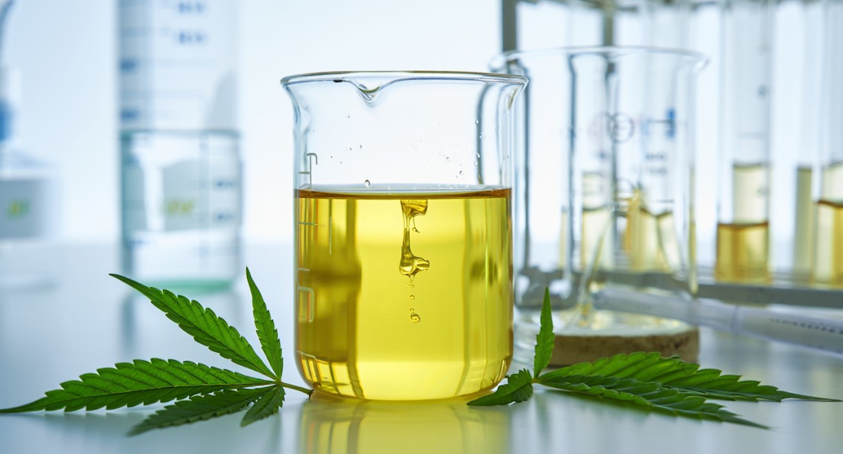 Herstellung von CBD Öl