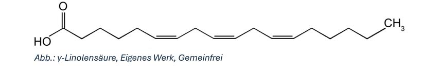 Formel Heilpflanze des Jahres